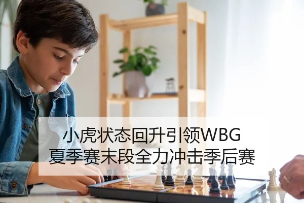 小虎状态回升引领WBG 夏季赛末段全力冲击季后赛